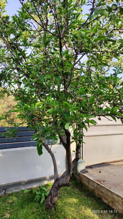 דירות ארטמידה Urbi Garden מראה חיצוני תמונה