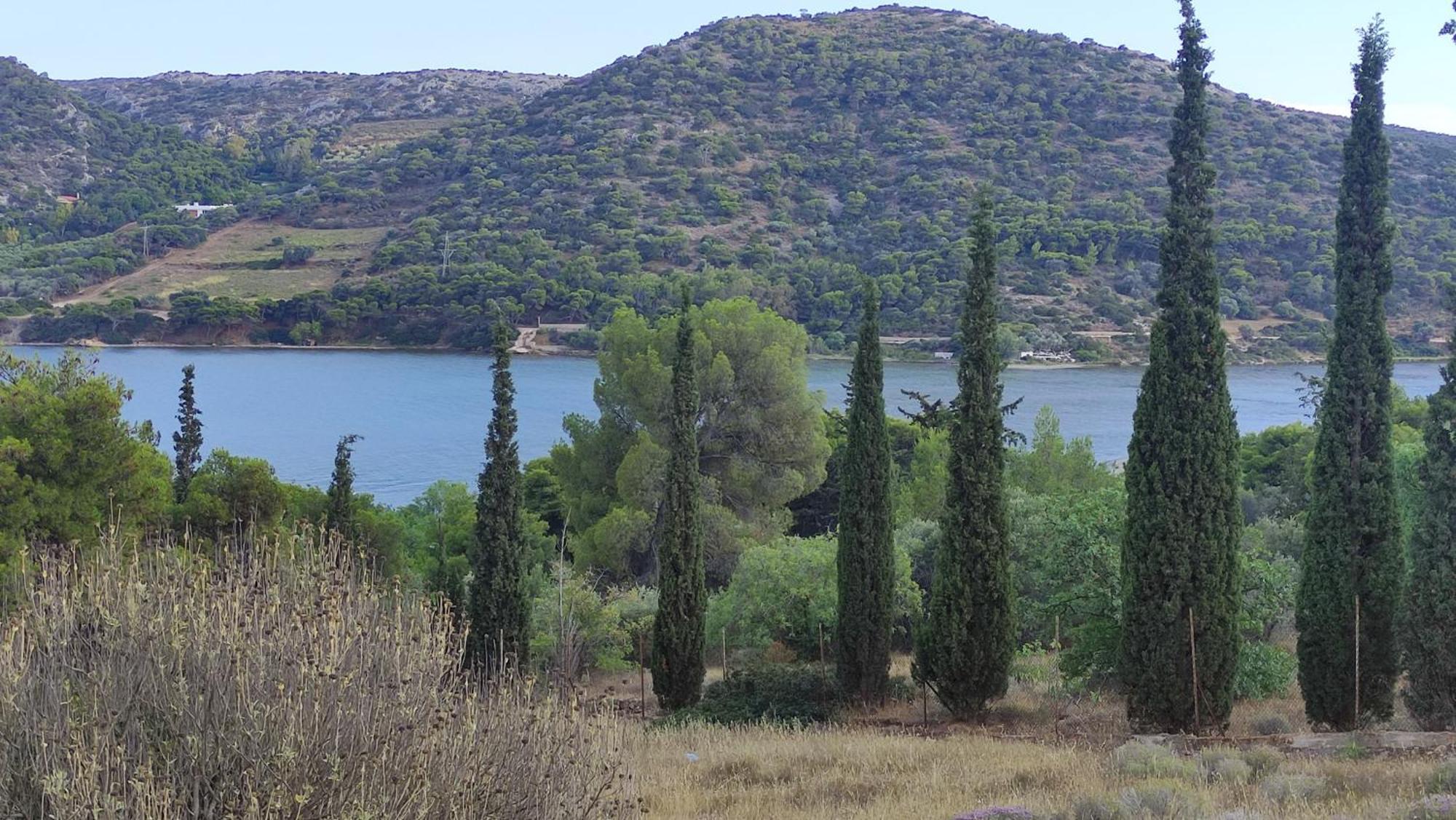דירות ארטמידה Urbi Garden מראה חיצוני תמונה